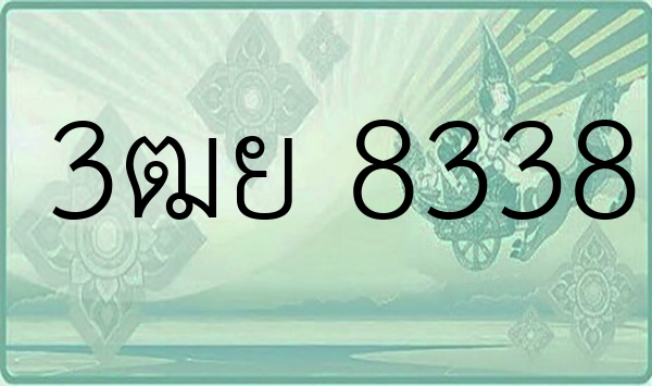 3ฒย 8338